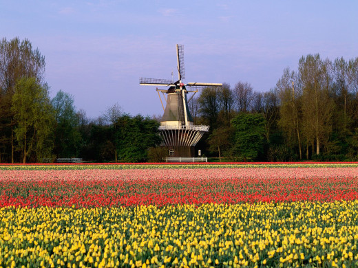 25622 (a): :1600x1200